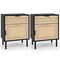 Black & Natural Rattan Nightstand with Drawer and Cabinet for Bedroom